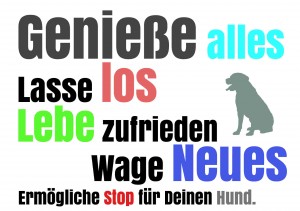 flyer_1